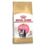 FBN-PERSIAN-KITTEN-X-2GRG