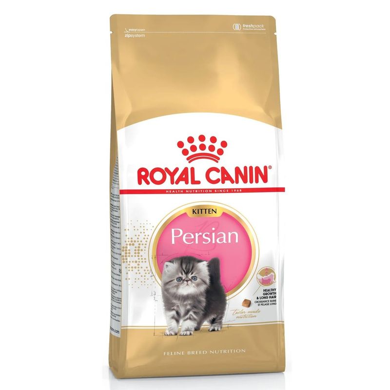 FBN-PERSIAN-KITTEN-X-2GRG