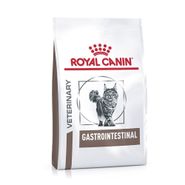 VHN GASTRO CAT