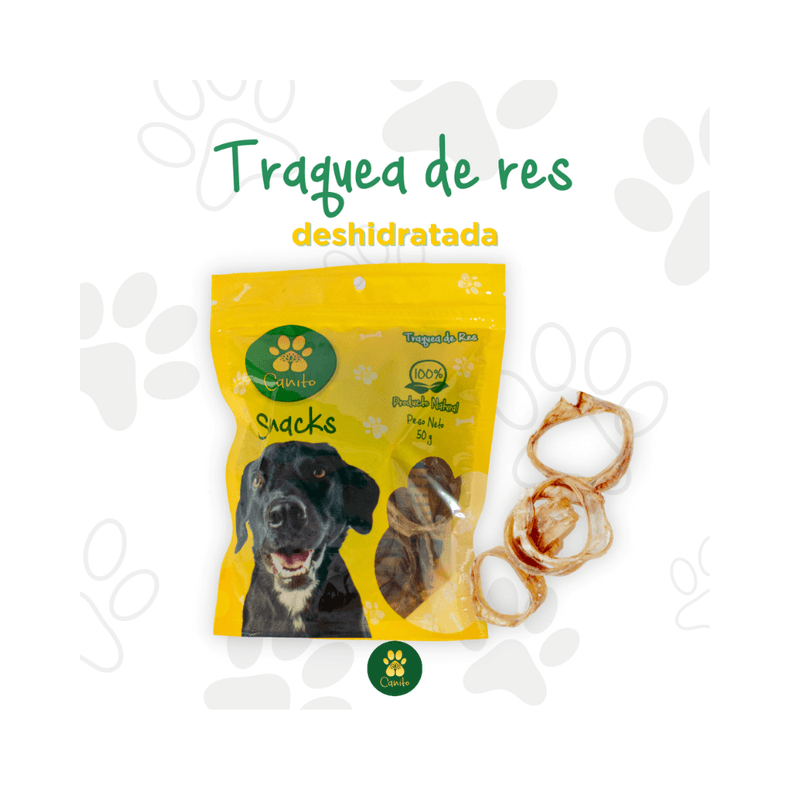 TRAQUEA-DE-RES