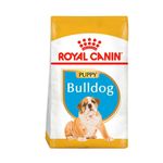BHN-BULLDOG-PUPPY-X-3KG