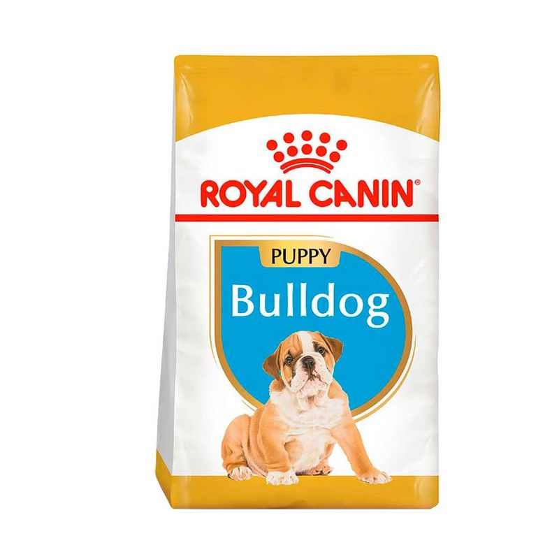 BHN-BULLDOG-PUPPY-X-3KG