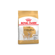 Bhn Chihuahua Ad
