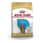 BHN-COCKER-PUPPY-3KG