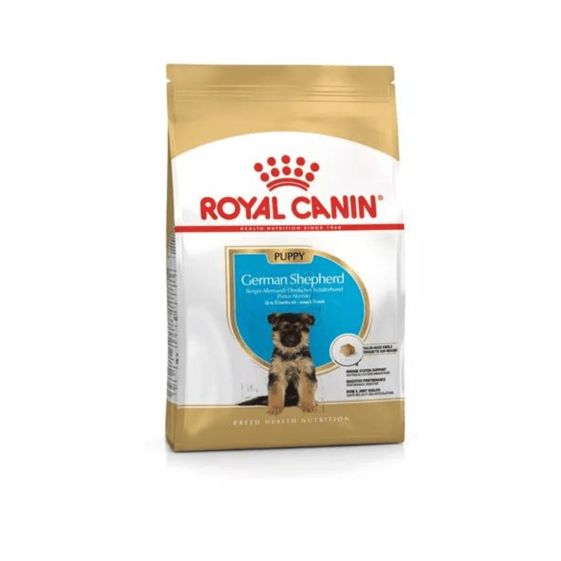 BHN-GERMAN-SHEPHERD-PUPPY-13.6KG