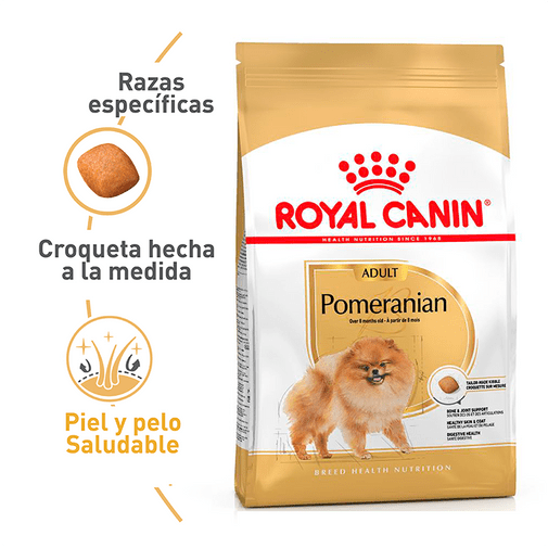 BHN-POMERANIAN-AD-3KG
