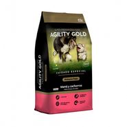 Agility Gold Primera Fase