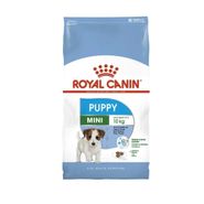 Shn Mini Puppy