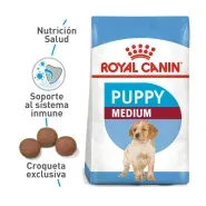 SHN MEDIUM PUPPY