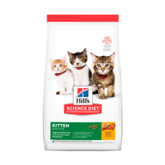 Hills Kitten Indoor