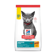 Hills Kitten