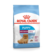 Shn Mini Indoor Puppy