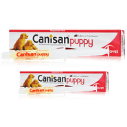 Canisan Puppy