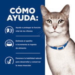 ComidaParaGatoHillsPrescriptionDietBienestarRenalK_DPollo4LB-4.png