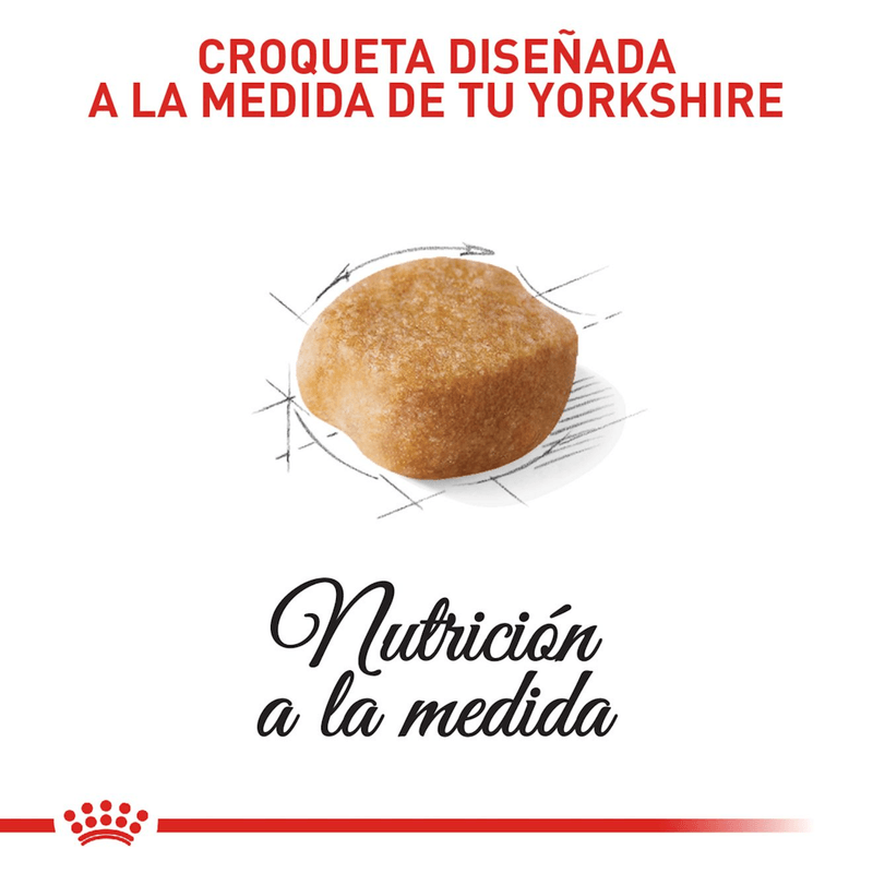 Croquetas-para-Yorkshire-adulto