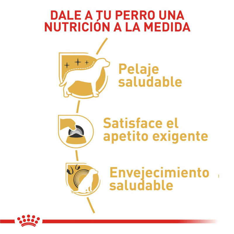 nutricion