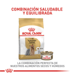Combinacion-saludable-y-equilibrada-de-nutrientes-para-el-Yorkshire-adulto