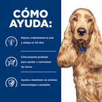 ComidaParaPerroHillsPrescriptionDietSensibilidadesalimentariasZ_DPollo8LB-4