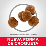 ComidaParaPerroHillsSb7+RazasPequenasPollo15LB-4