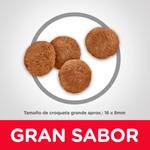 ComidaParaPerroHillsLBAdultoRazasGrandesPollo33LB-5