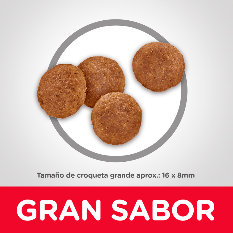ComidaParaPerroHillsLBAdultoRazasGrandesPollo33LB-5