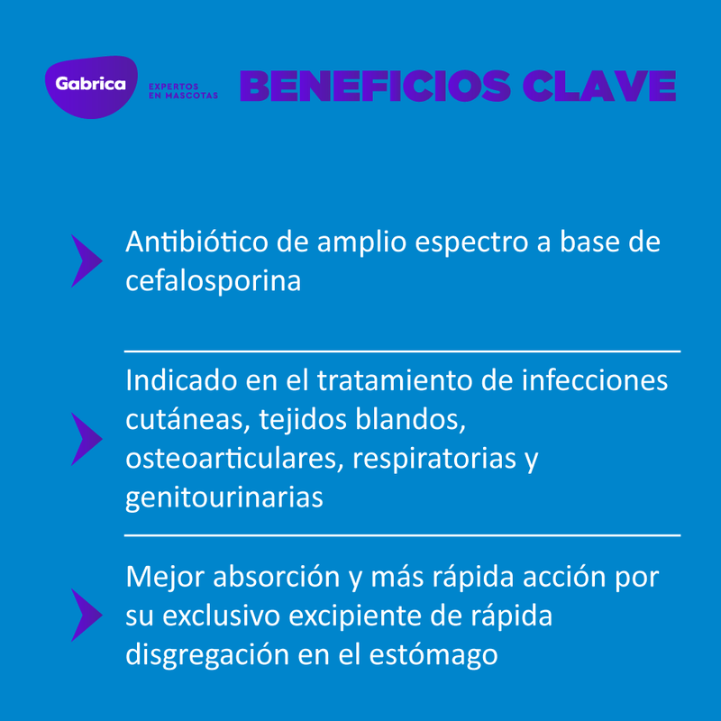 CefalexinaAntibiotico-7