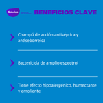 DermohollidayShampooAntisepticoPerrosYGatos-7