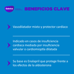 CardialPerros-7