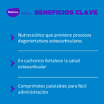Ol-TransFlexPerros70COMP-7