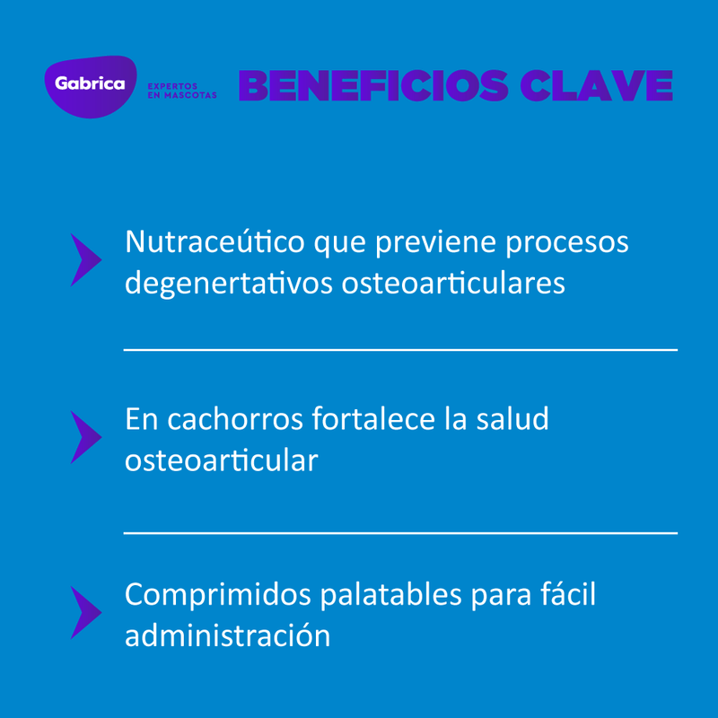 Ol-TransFlexPerros70COMP-7
