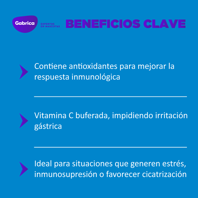 SuplementoVita-VetCParaPerroYGato-7