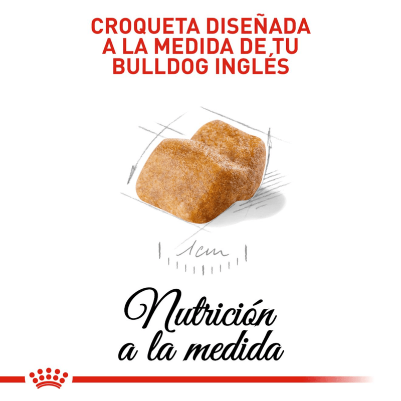 Croquetas-para-cachorros-de-Bulldog-Ingles