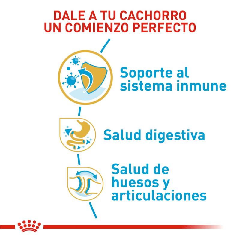comienzo