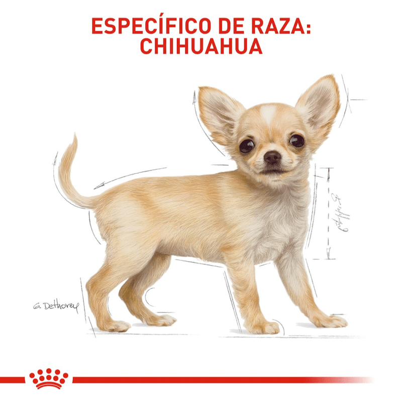 Alimento-formulado-para-cachorros-de-Chihuahua