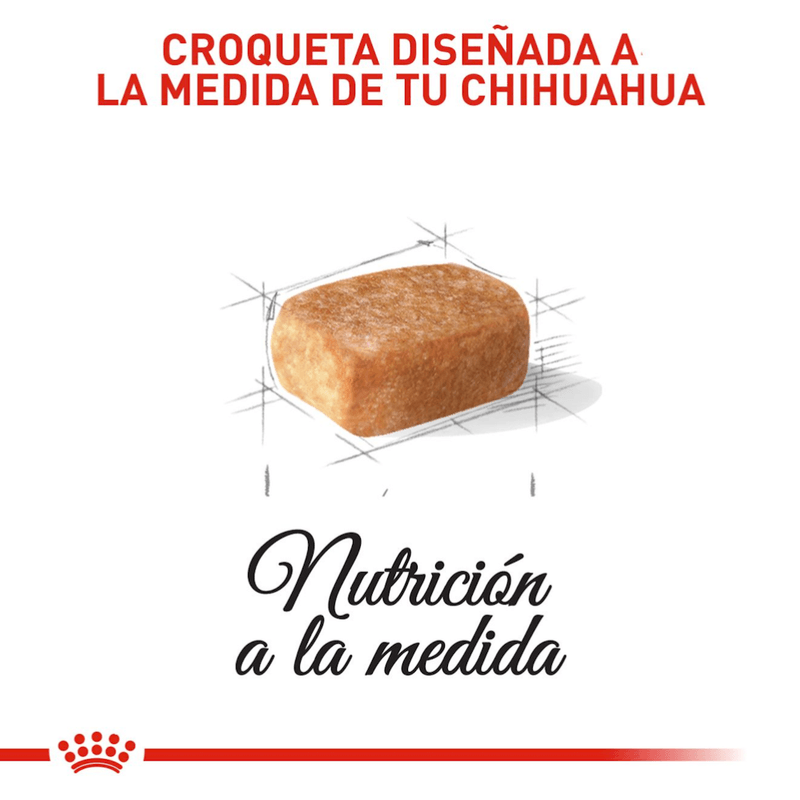 Croquetas-para-cachorros-de-Chihuahua