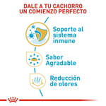 Alimento-para-un-comienzo-perfecto-en-cachorros-de-Chihuahua