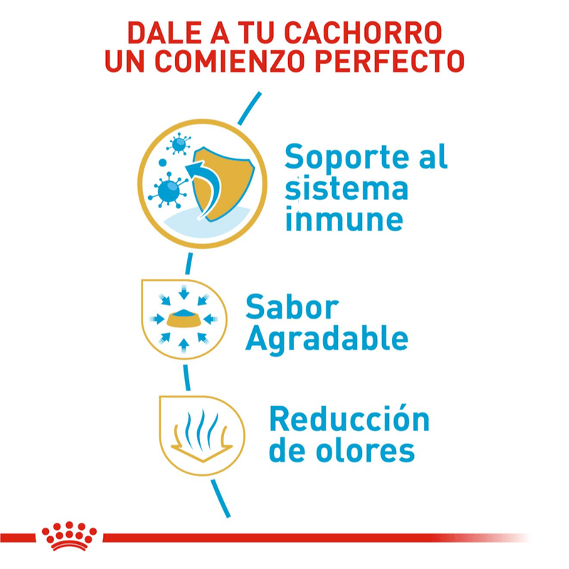 Alimento-para-un-comienzo-perfecto-en-cachorros-de-Chihuahua