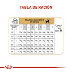 Tabla-de-racion-recomendada-para-cachorros-de-Chihuahua