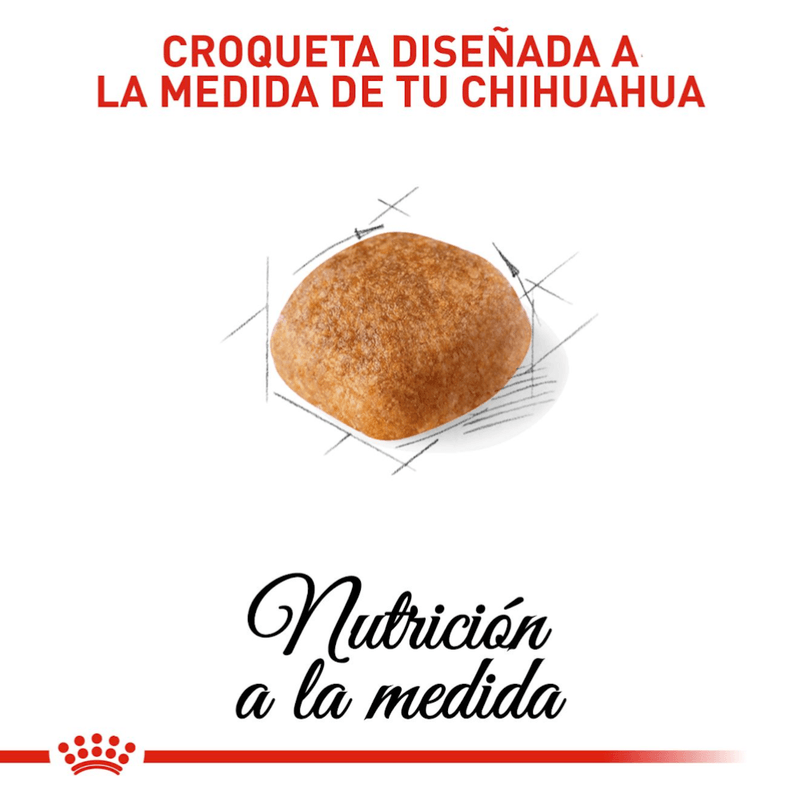 Croquetas-para-Chihuahua-adulto