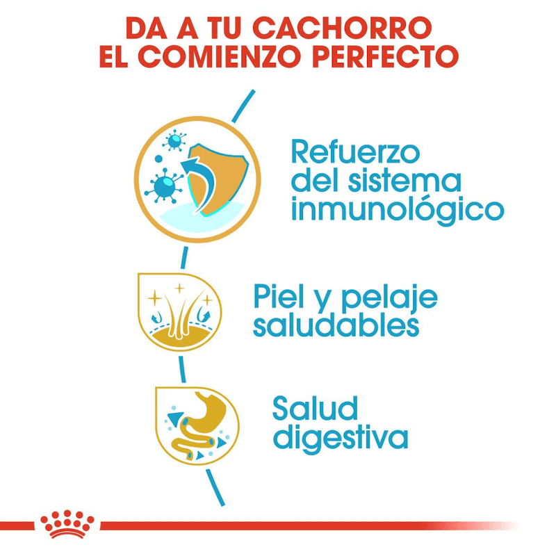 comienzo