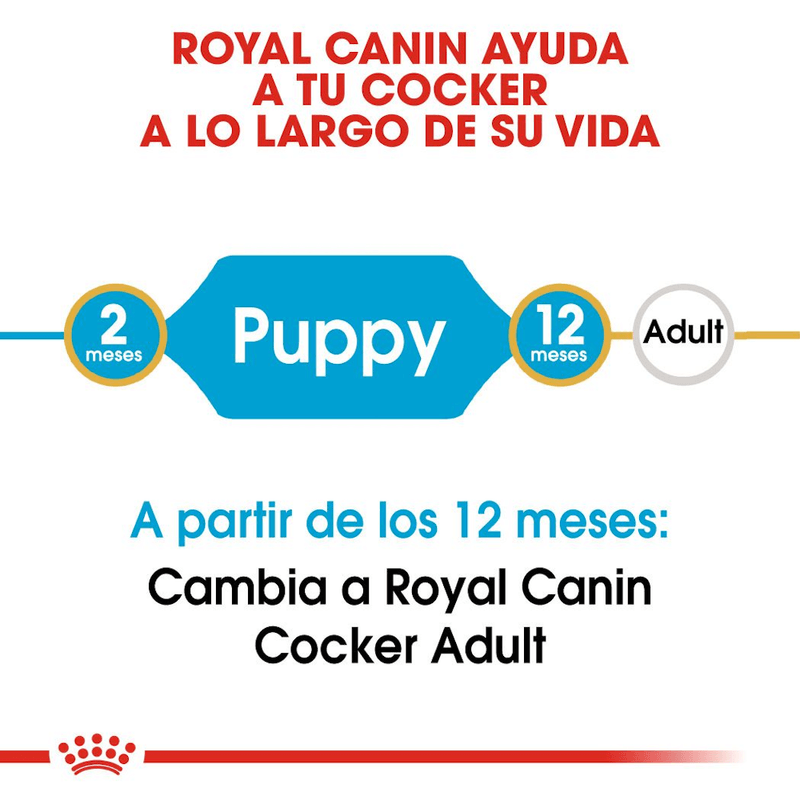 Producto-adaptado-a-las-necesidades-de-cachorros-de-Cocker