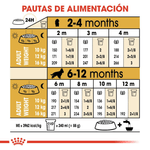 Tabla-de-racion-recomendada-para-cachorros-de-Cocker