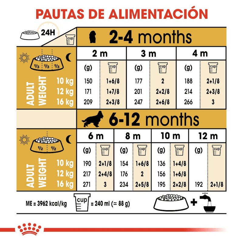 Tabla-de-racion-recomendada-para-cachorros-de-Cocker