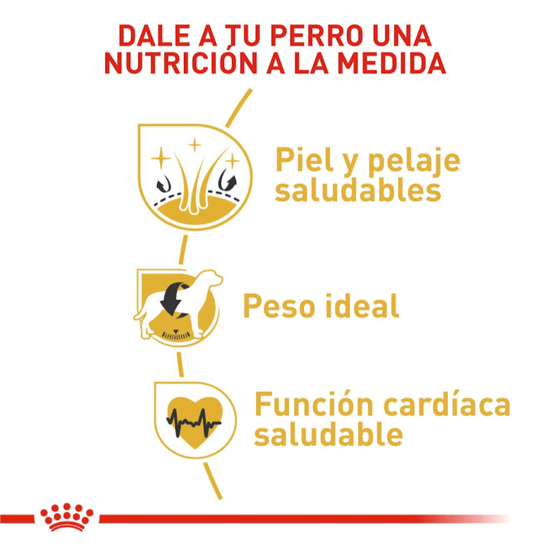nutricion