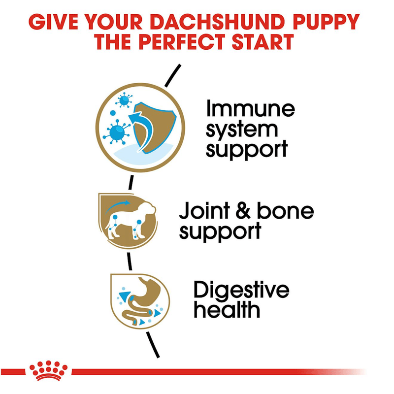Alimento-para-un-comienzo-perfecto-en-cachorros-de-Dachshund