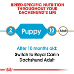 Producto-adaptado-a-las-necesidades-de-cachorros-de-Dachshund