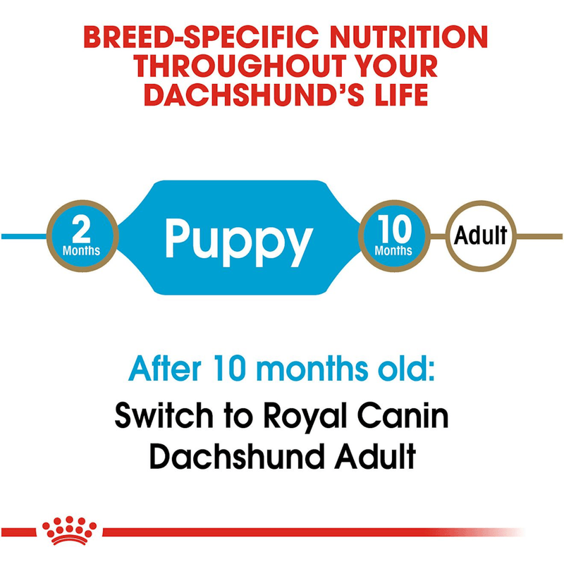Producto-adaptado-a-las-necesidades-de-cachorros-de-Dachshund