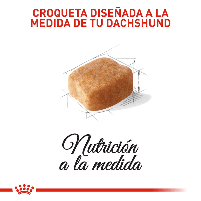 croqueta