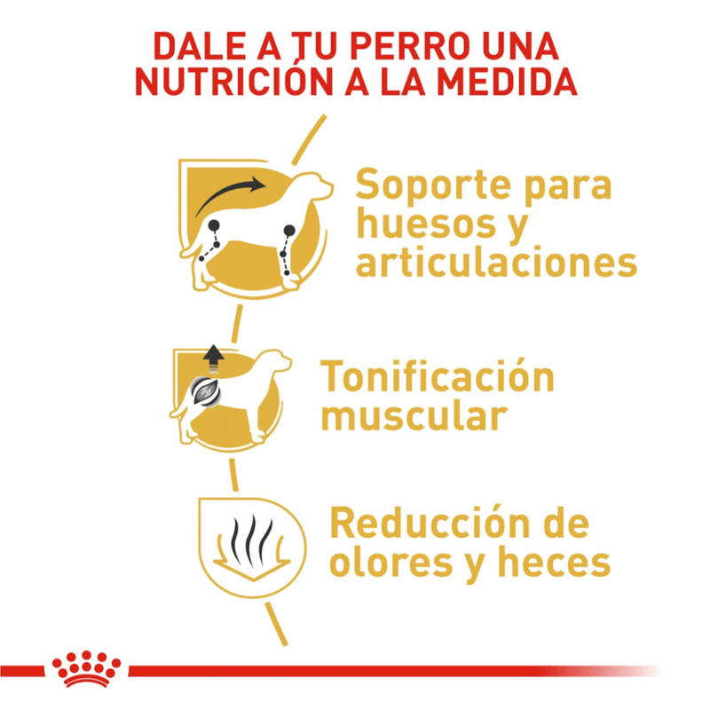 nutricion