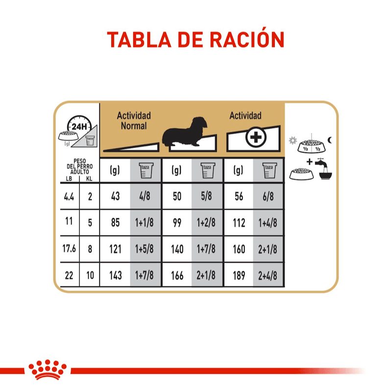 Tabla-de-racion-recomendada-para-Dachshunds-adultos